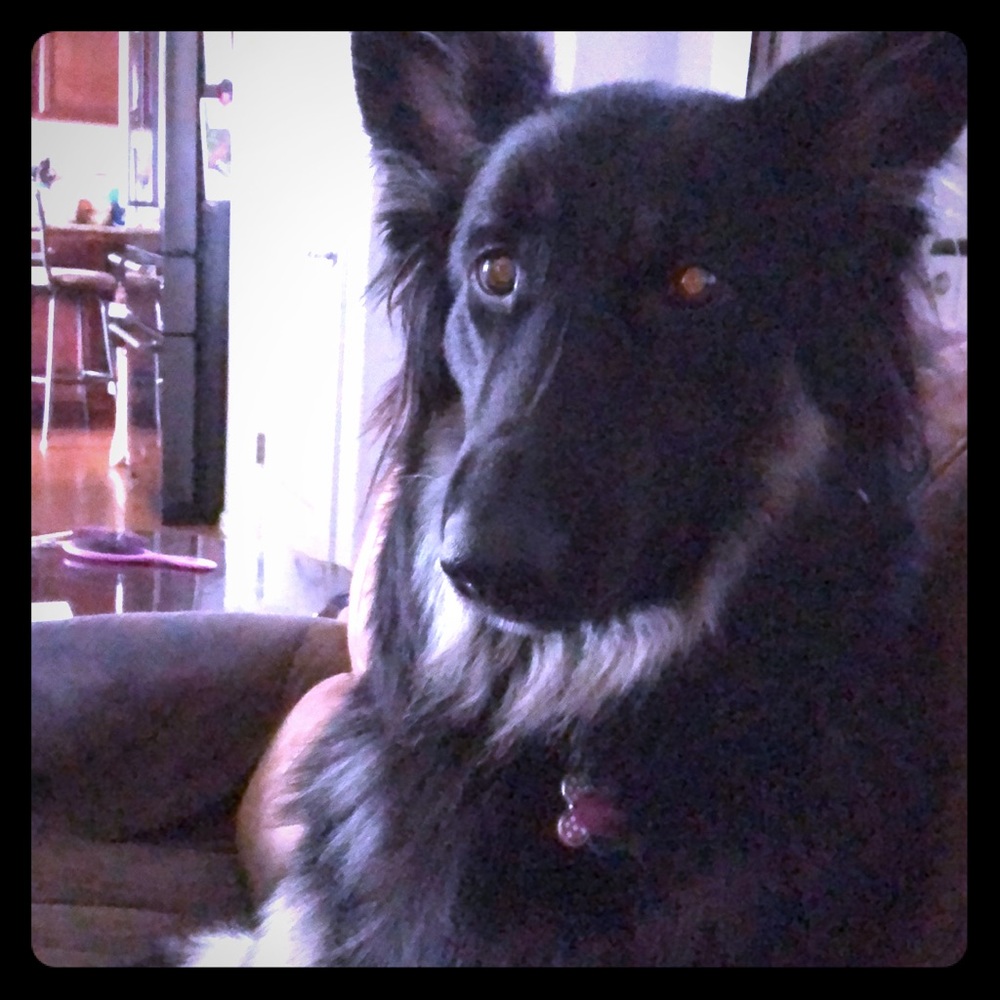 Meet your Posher, Marie